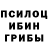 Псилоцибиновые грибы прущие грибы Mr.Copter