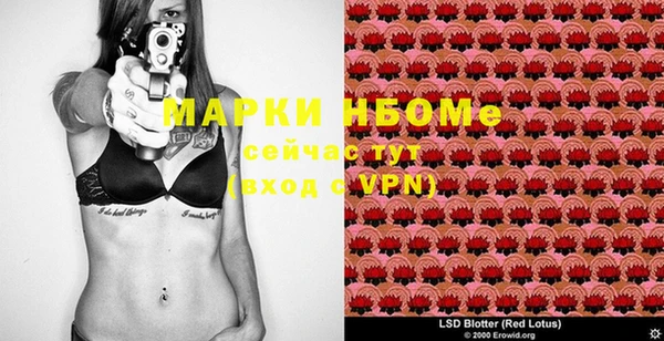 гашик Вязники