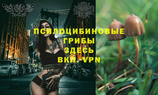 гашик Вязники