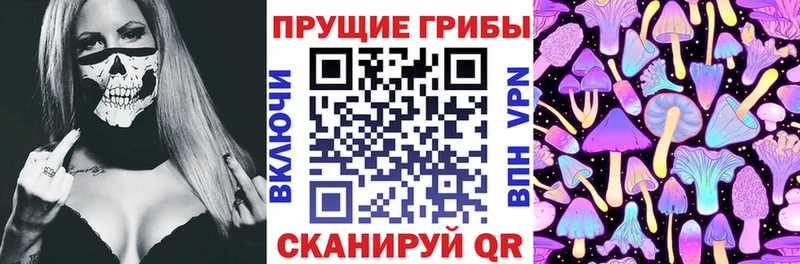 Галлюциногенные грибы мицелий  Купить где  Талдом 